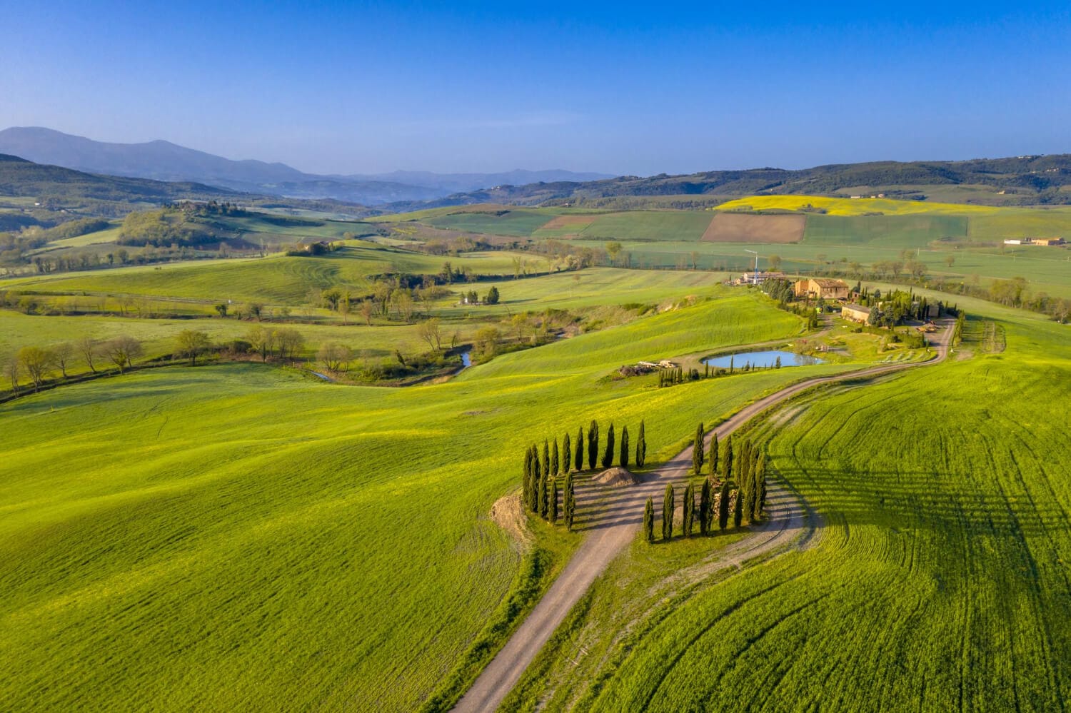Italy’s Best Wine Regions: Tuscany, Piedmont, Veneto